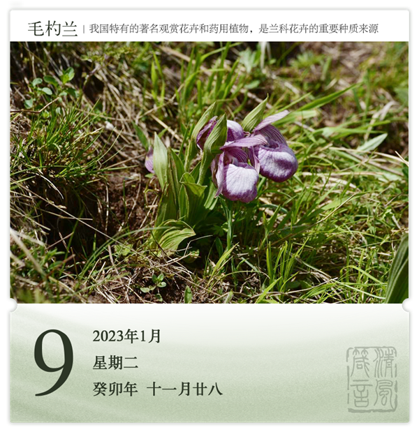 1704710048407837.png 箴历日历1-9.png