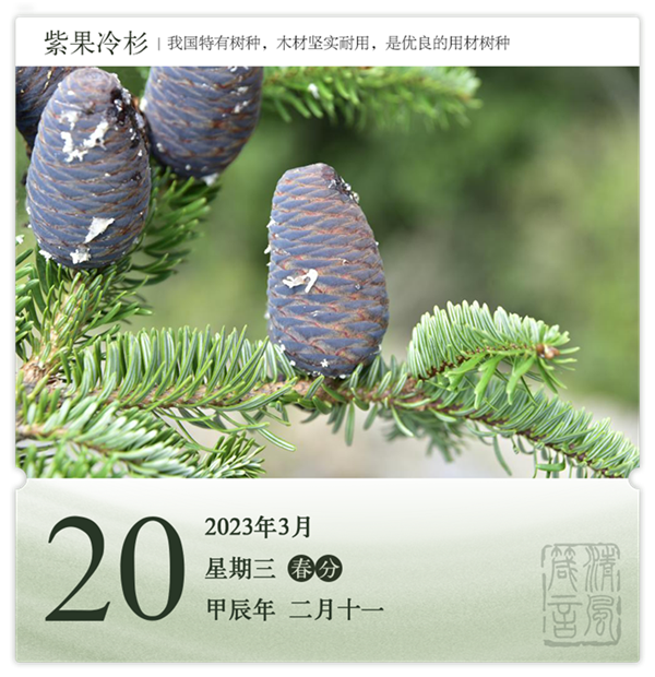 1710386362361287.png 箴历日历3-20.png