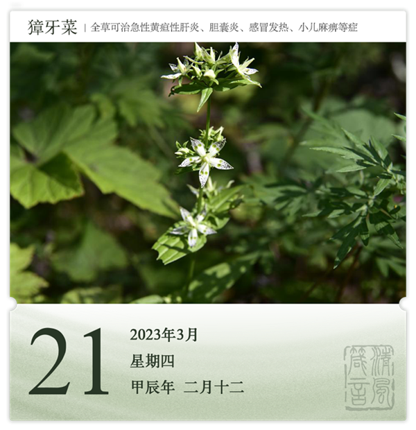 1710386533750017.png 箴历日历3-21.png