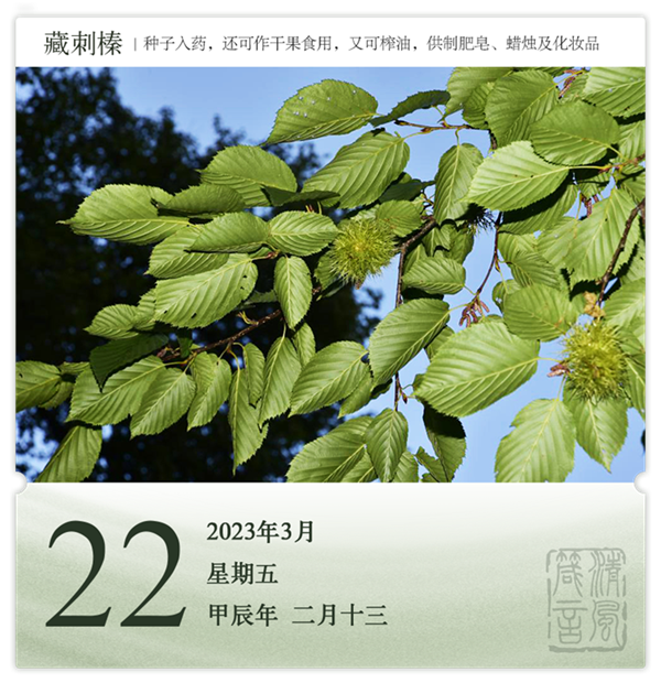 1710386623391244.png 箴历日历3-22.png