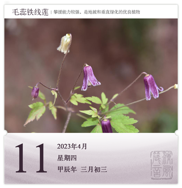 1712647171411010.png 箴历日历4-11.png