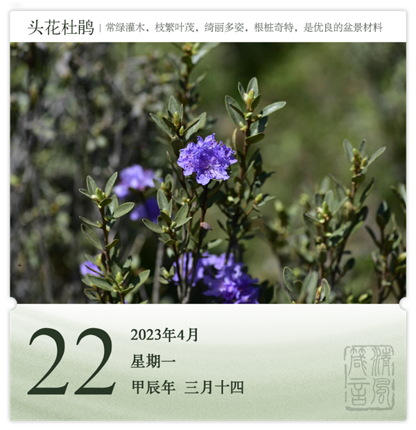 1713520326759373.png 箴历日历4-22.png