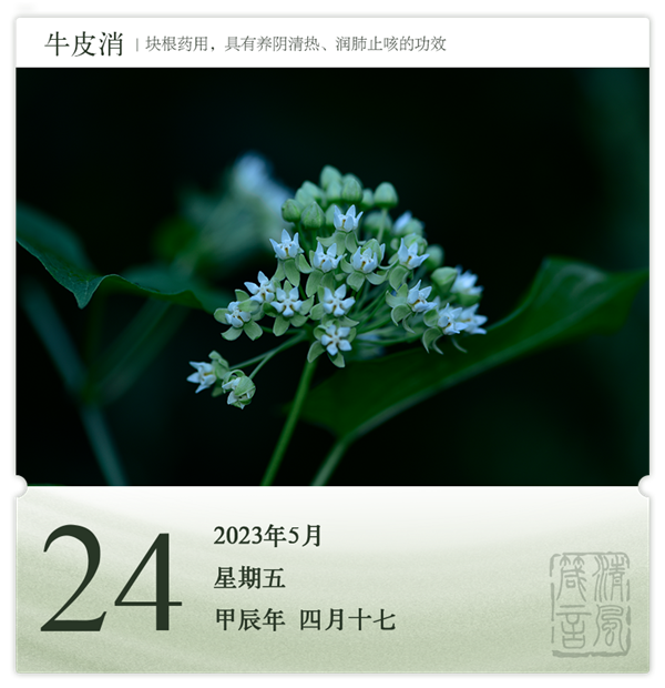 1714286271942063.png 箴历日历5-24.png