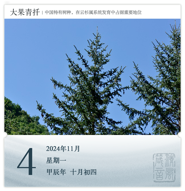 1730187442275143.png 箴历日历11-4.png