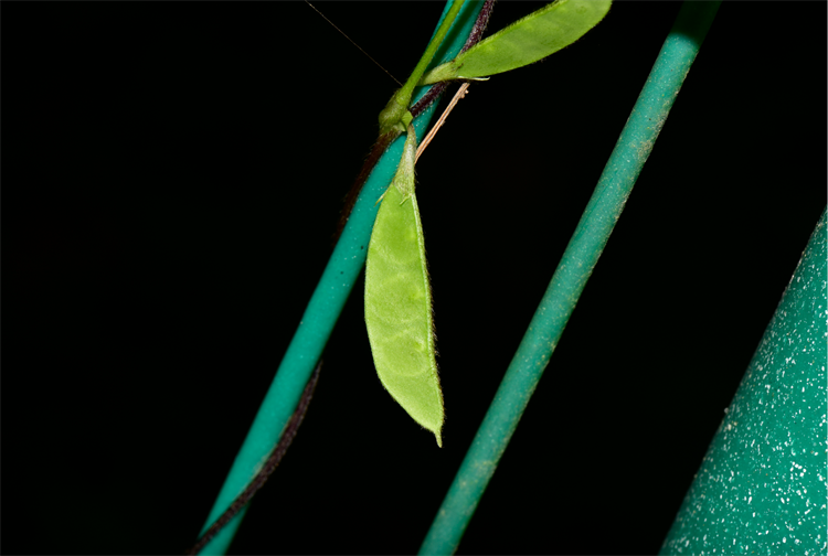 1730187692833002.png 7-2.png