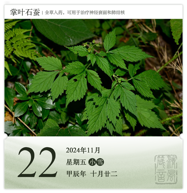 1730189567101259.png 箴历日历11-22.png