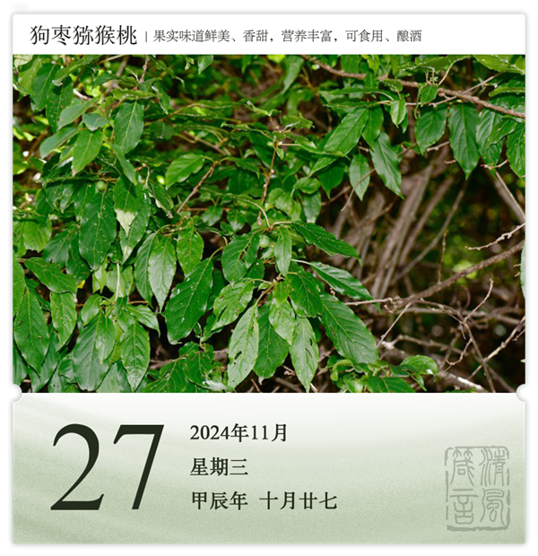 1730190099337648.png 箴历日历11-27.png