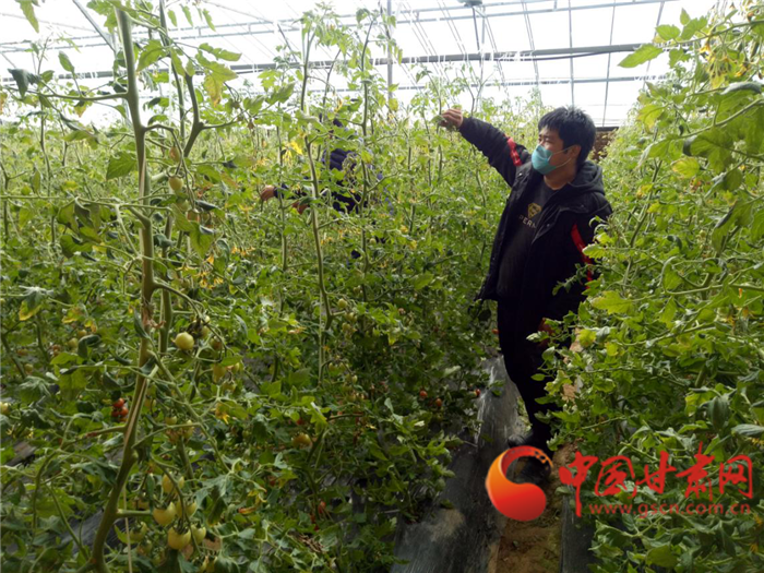 【凯发k8全民战“疫”】庆阳正宁县:春到塬上播种忙